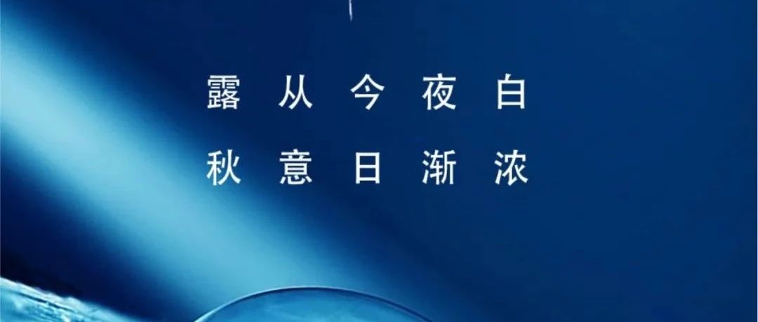 寒露 | 露從今夜白  秋意日漸濃！