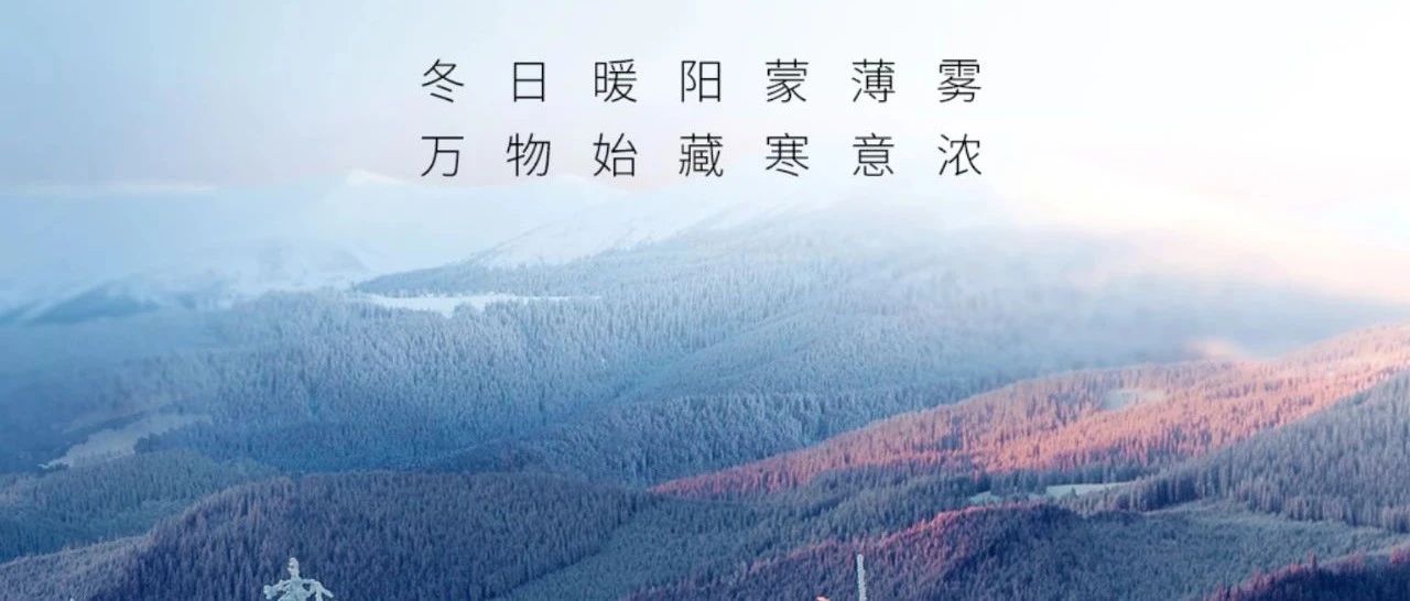 立冬 | 冬日暖陽(yáng)蒙薄霧   萬物始藏寒意濃